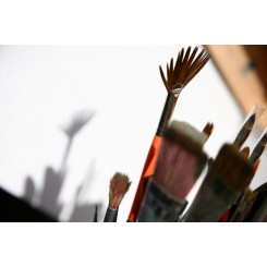Synthetic brushes